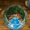 Resin Terrarium Kit