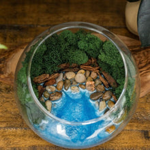  Resin Terrarium Kit