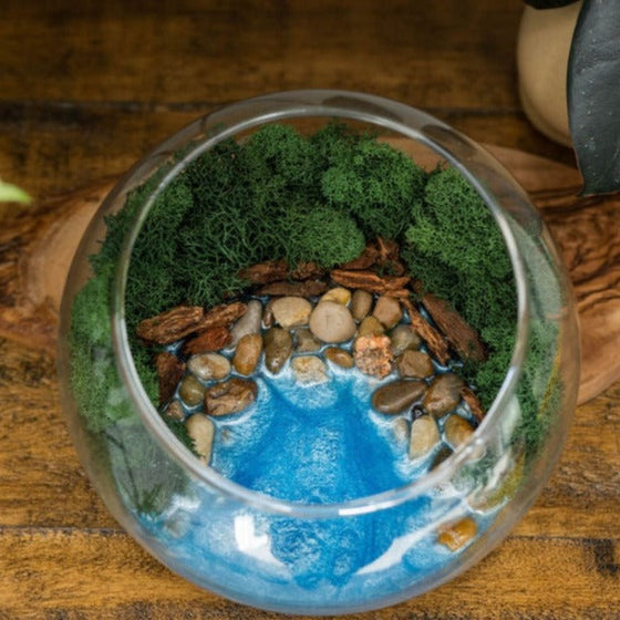 Resin Terrarium Kit