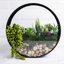  Wall Terrarium Kit