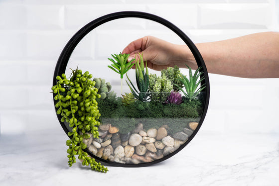 Wall Terrarium Kit