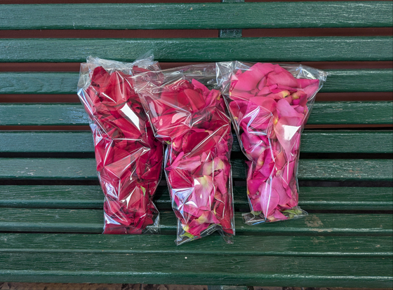 Rose Petals (Color varies)