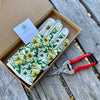 Garden Gift Box - Gloves and Needle Snips