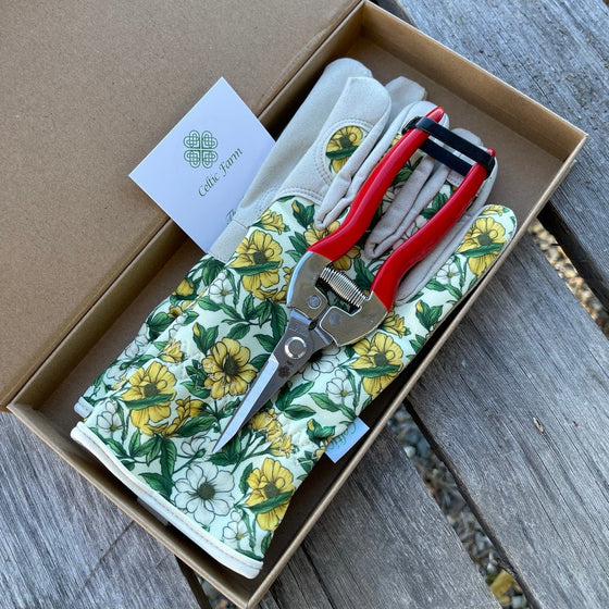 Garden Gift Box - Gloves and Needle Snips