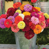 Zany for Zinnias - Our Grow Kit Gift Box with Zinnias