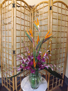  Large Birds and Orchids