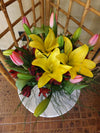 Spring Tulips & Lilies