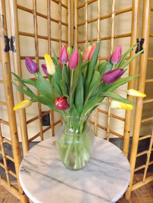  Tulips for Kissing